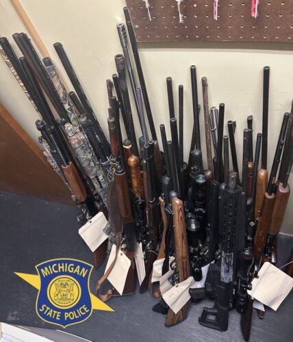 Garden man arrested on weapons and drug charges